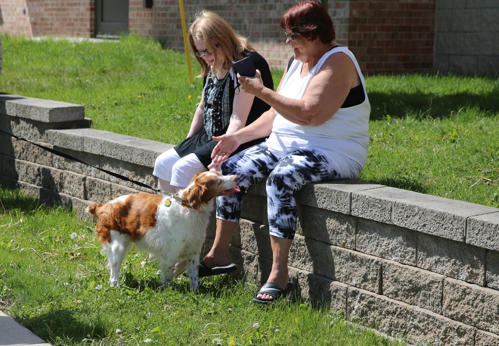 Pet parade at Good Shepherd (4).jpg